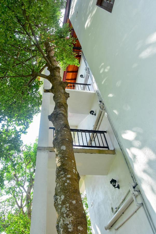 Villa Araliya Hikkaduwa Kültér fotó